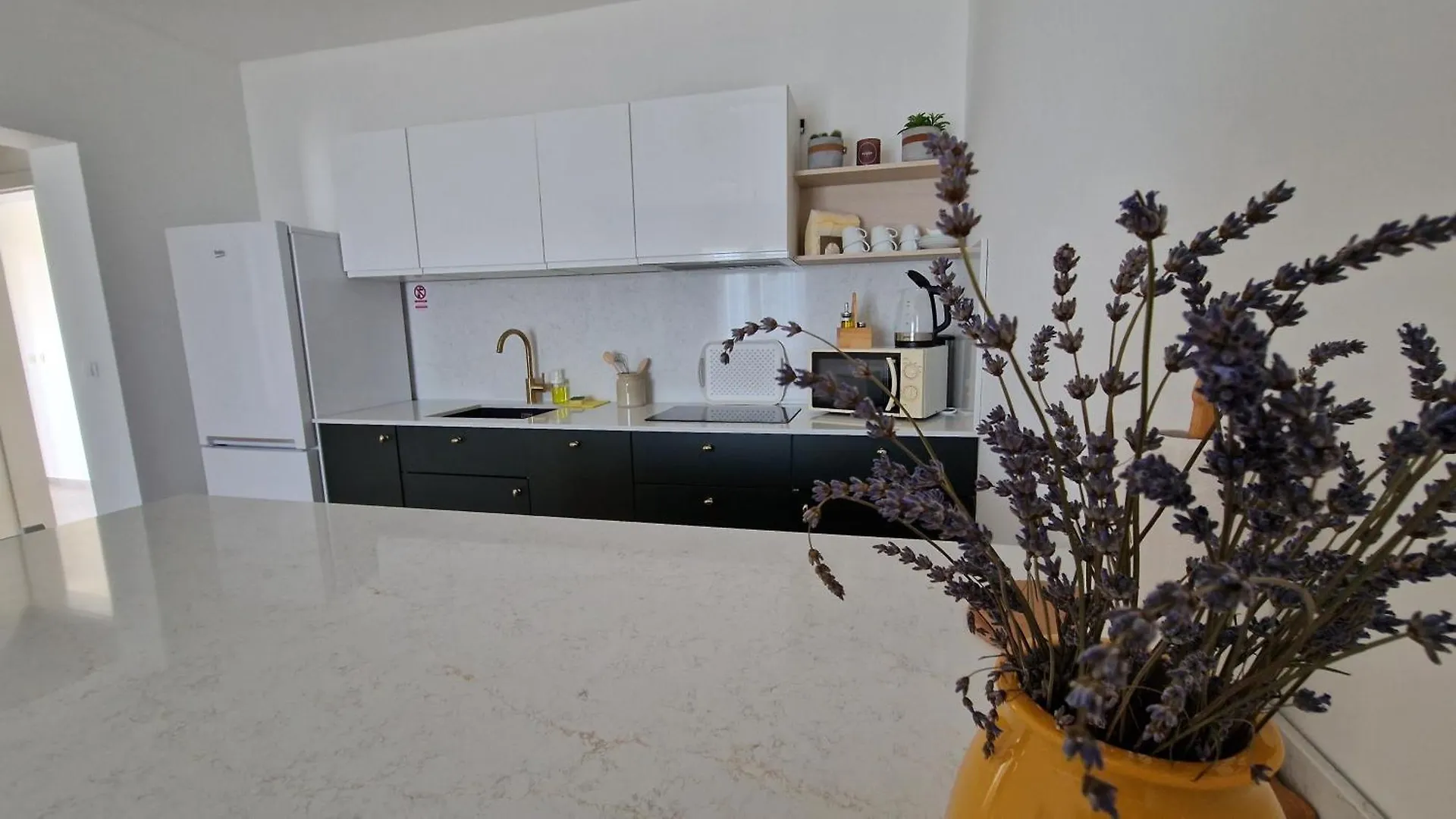 Apartmani Kod Barbe Vir Appartement